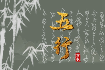 数字化五行参考用法